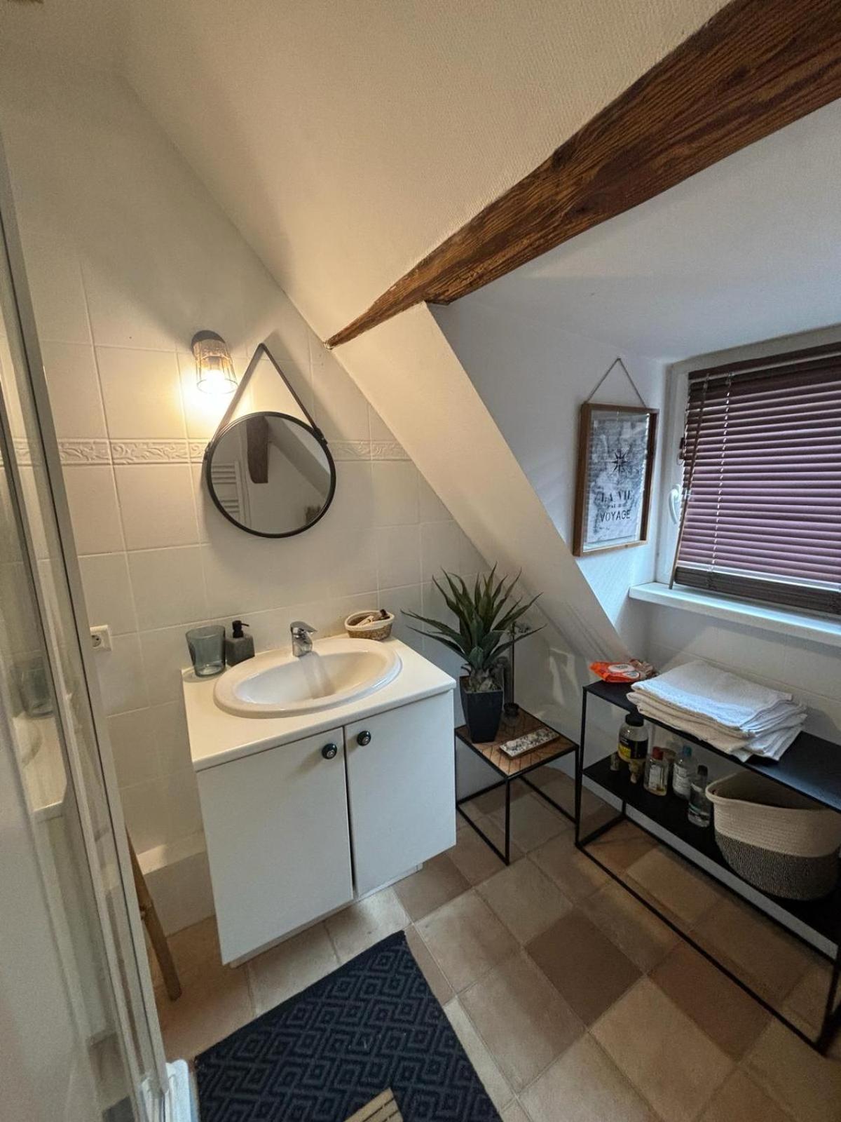 Charmant Appartement Proche Strasbourg A Eckwersheim Eksteriør bilde